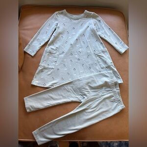 Hanna Andersson Penguin Pocket dress and leggings